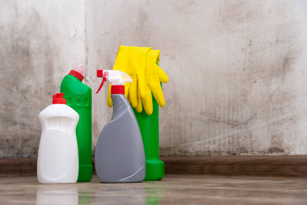 Biohazard Mold Removal in Wisconsin Rapids, WI